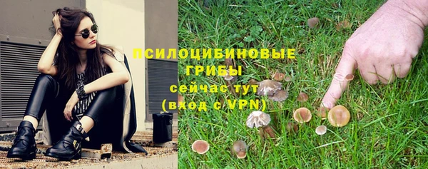 СК Арсеньев