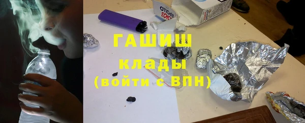 молекула духа Снежногорск