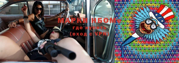 гашик Аркадак