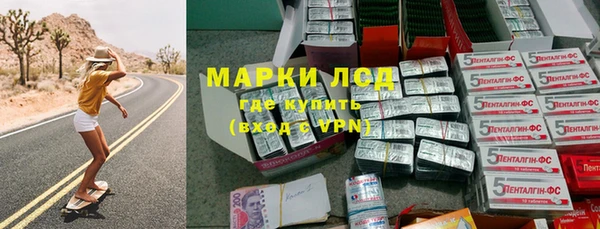 гашик Аркадак